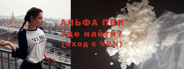 СК Алексин