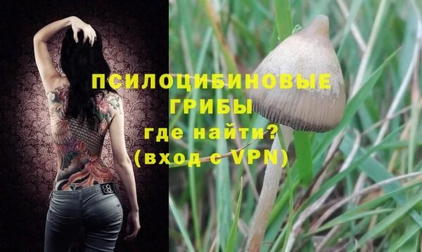 гидра Алексеевка