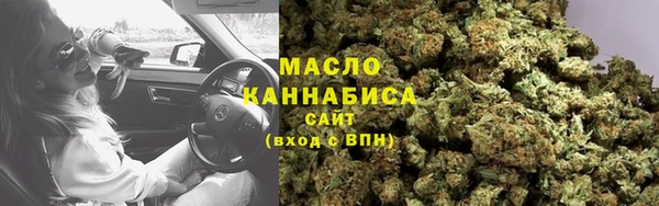 СК Алексин