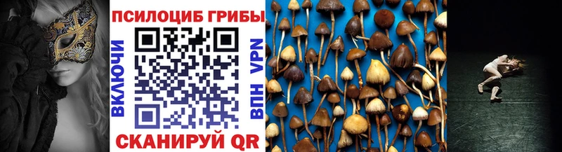 Псилоцибиновые грибы Psilocybine cubensis  сколько стоит  Талдом 